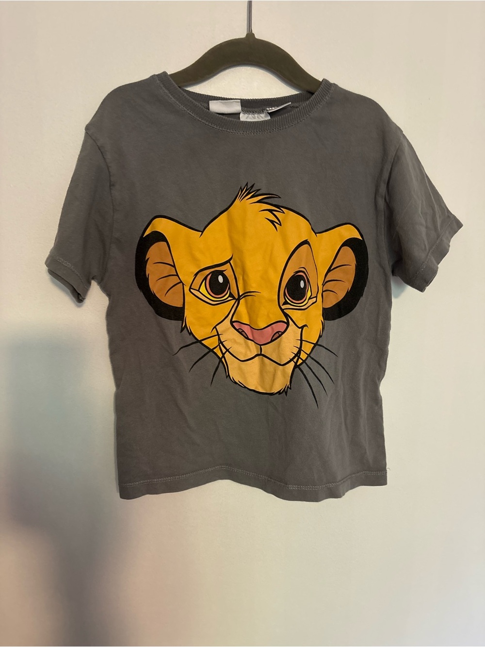 Zara Simba, The Lion King T-shirt